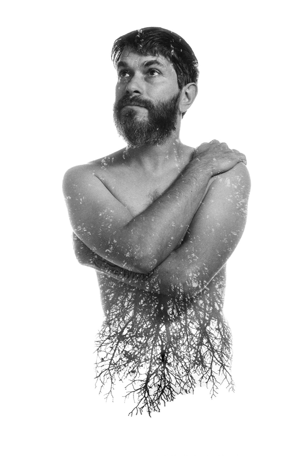 A naked man is standing in front of the camera, arms crossed around his torso, looking in the distance. He has a dense, bushy beard. His lower torso dissolves into branches that look like roots. Black and white. 